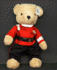 Teddy Bear WROK.gif (81146 bytes)